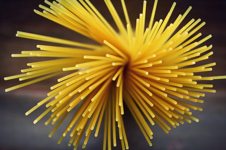 spaghetti in spiral