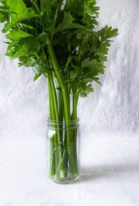 sticks of celery in glass