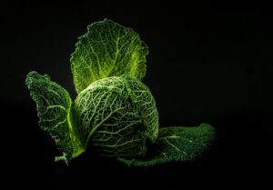 big cabbage dark background